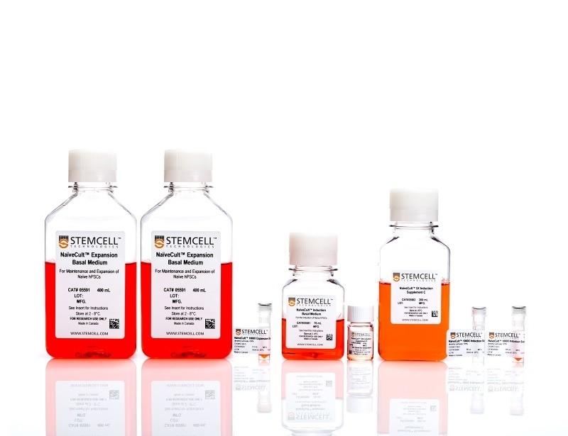 NaiveCult Induction Kit | 製品情報 | ベリタス